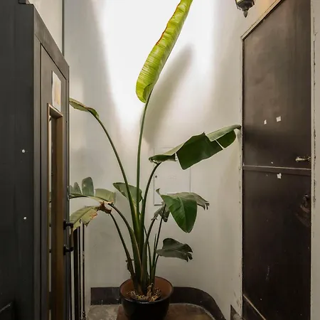 Monti Zen Penthouse-zeno57