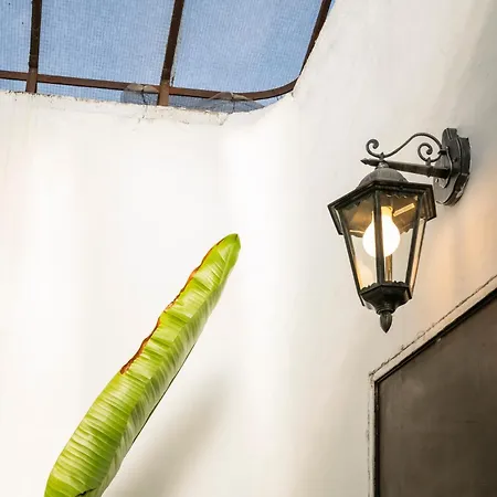 Apartamento Monti Zen Penthouse-zeno57